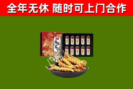 点军区回收冬虫夏草价格